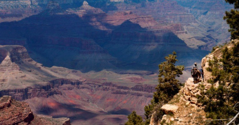 Learning & Lodging with Grand Canyon National Park Lodges