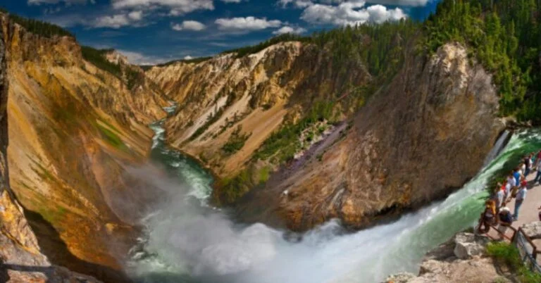Which Former U.S. President Served as a Park Ranger